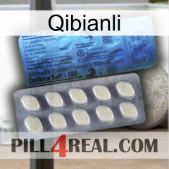 Qibianli 34